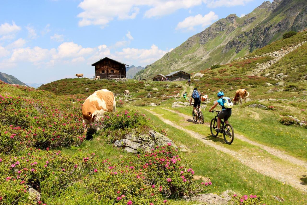 Rohrmooser Schloessl Schladming Eksteriør bilde
